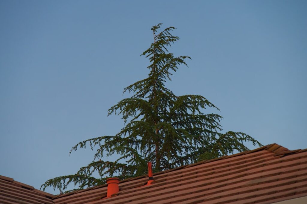 emergency roofing Rockledge FL